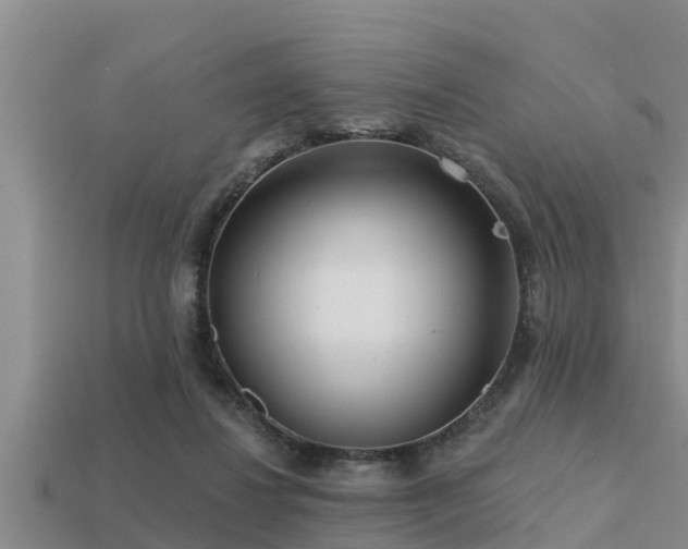 X0000113200260200909171519