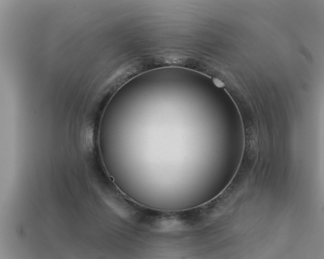 X0000113200262200909171519