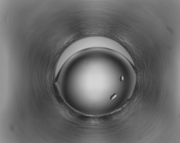 X0000113200264200909171520