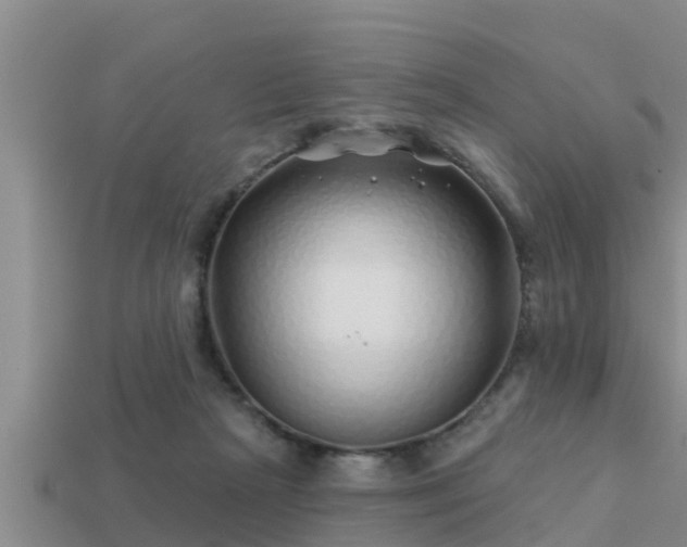 X0000113200265200909171520