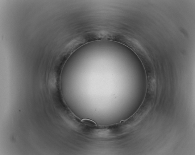 X0000113200266200909171520