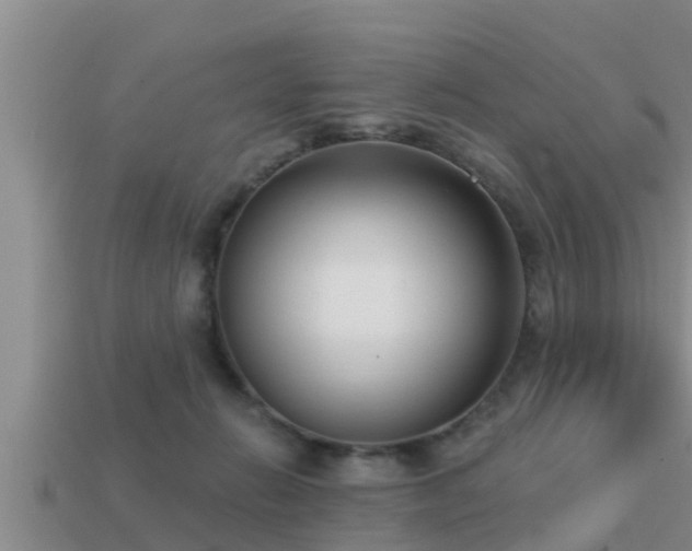 X0000113200270200909171520