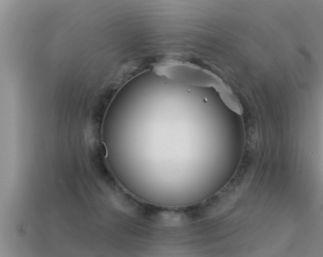 X0000113200272200909171520