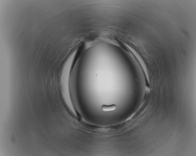 X0000113200273200909171520