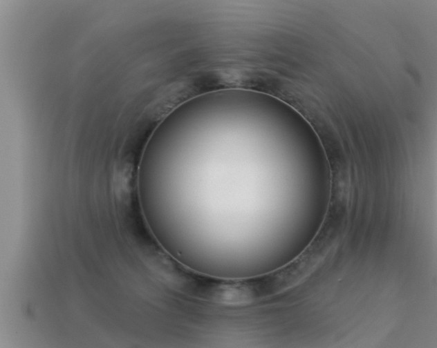 X0000113200275200909171520