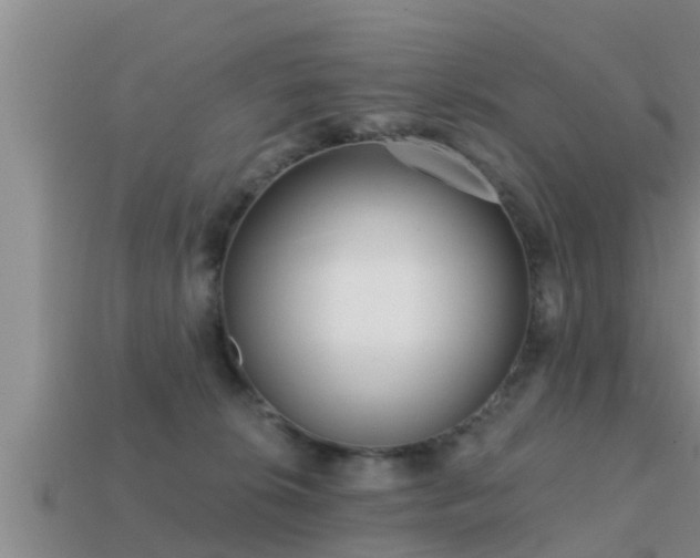 X0000113200276200909171520