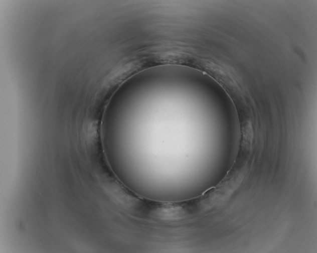 X0000113200278200909171520