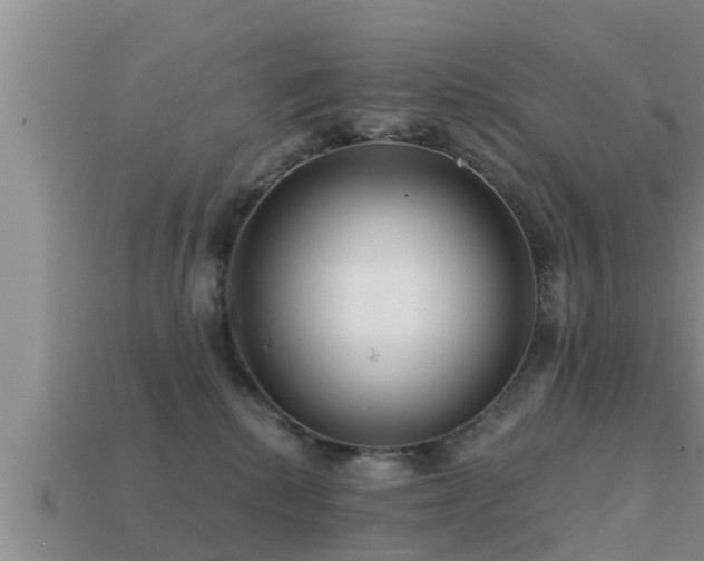 X0000113200280200909171520