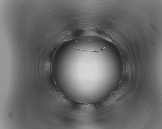 X0000113200281200909171520