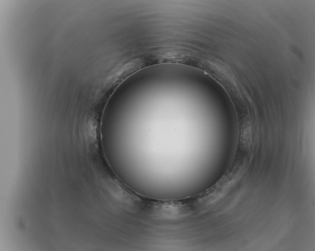 X0000113200282200909171520