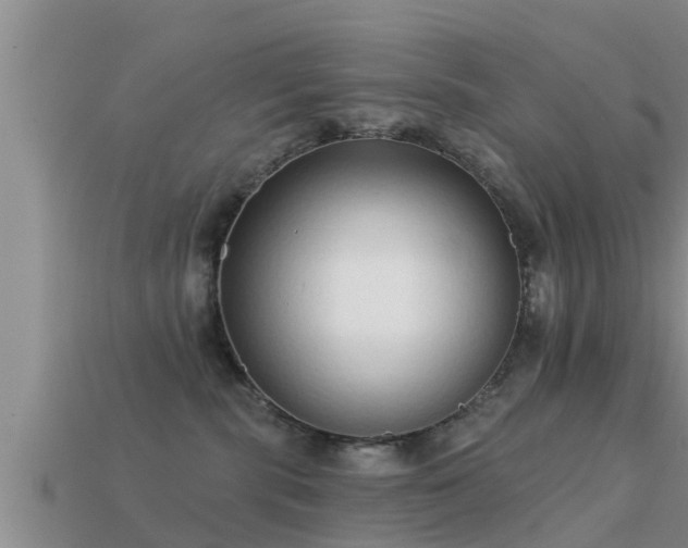 X0000113200283200909171520