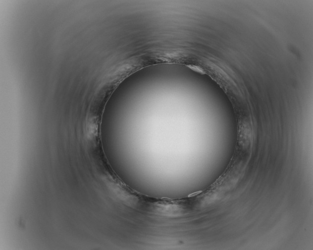 X0000113200284200909171520