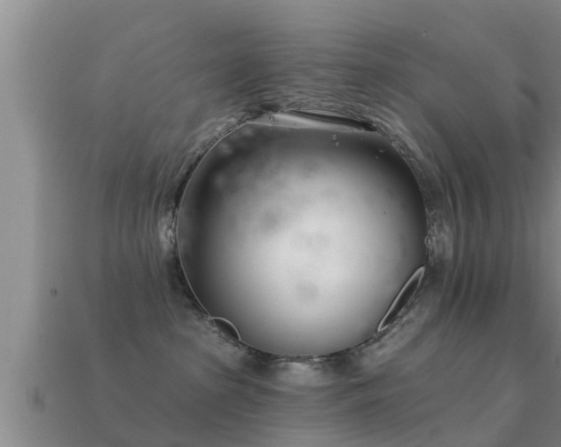 X0000113200285200909171520