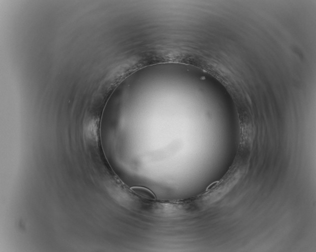 X0000113200286200909171520