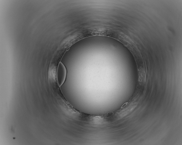 X0000113200287200909171520