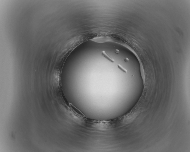 X0000113200288200909171520