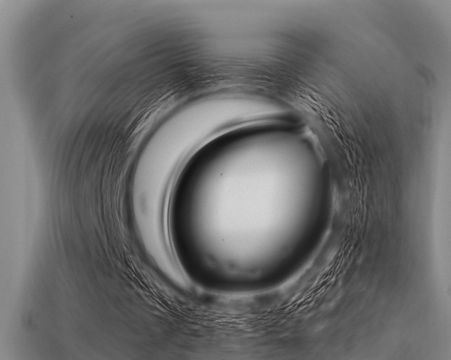 X0000113200289200909171519