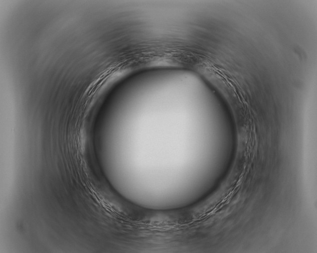 X0000113200290200909171519