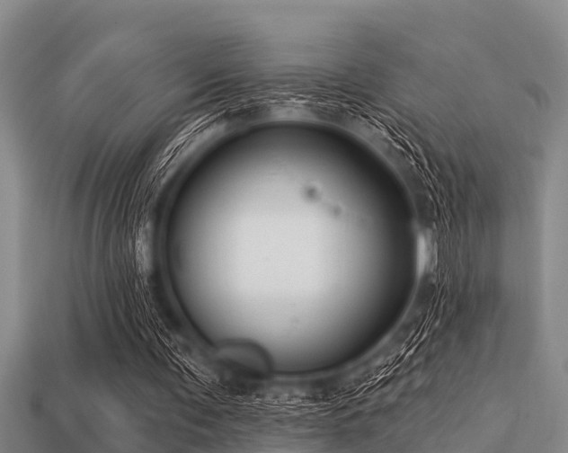 X0000113200291200909171519