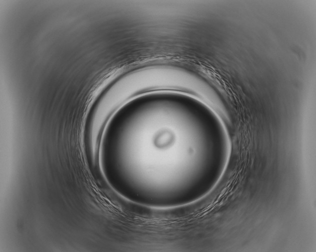 X0000113200292200909171519