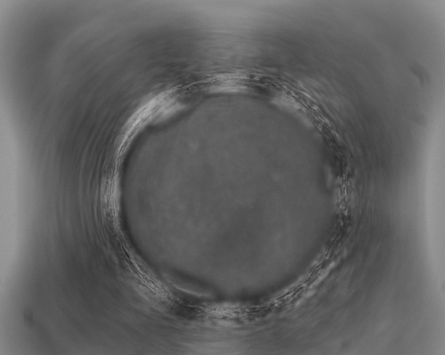 X0000113200293200909171519