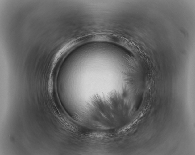X0000113200294200909171519