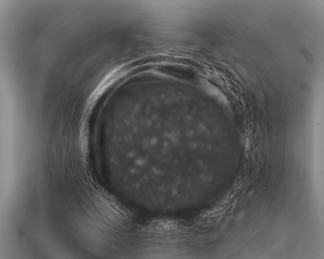 X0000113200295200909171519