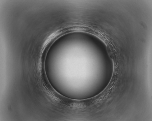 X0000113200296200909171519