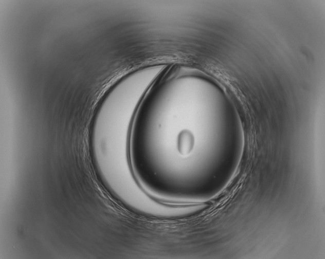 X0000113200297200909171519