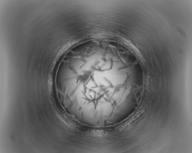 X0000113200298200909171519