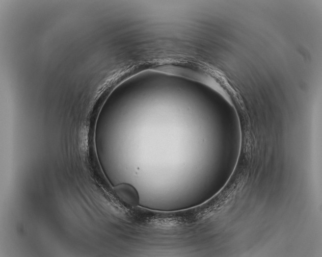 X0000113200299200909171519