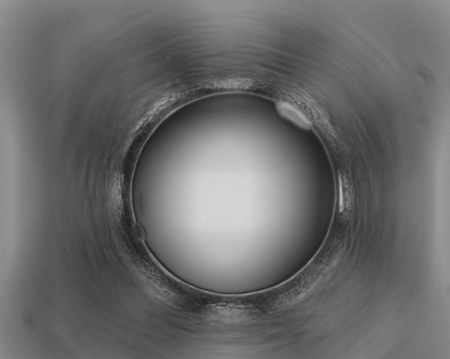 X0000113200300200909171519