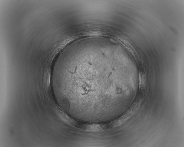 X0000113200301200909171519