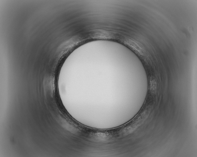 X0000113200302200909171519