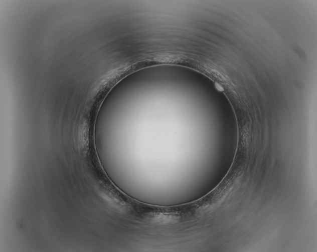 X0000113200303200909171519