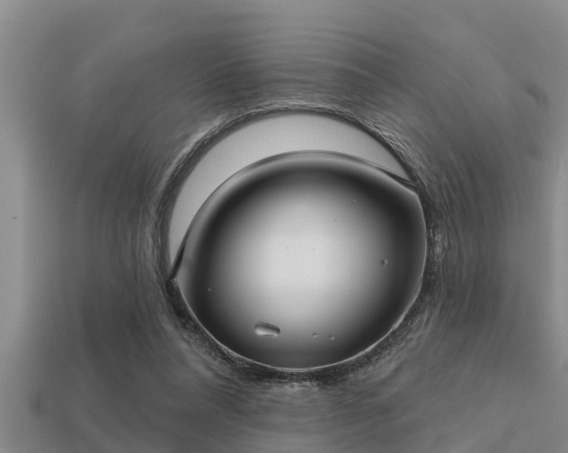 X0000113200304200909171519