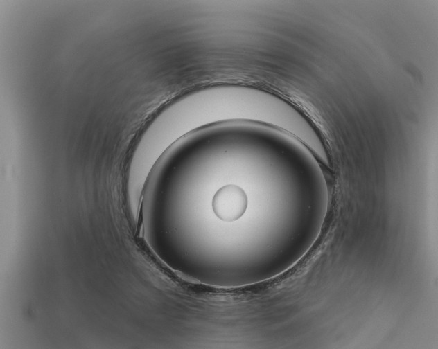 X0000113200305200909171519