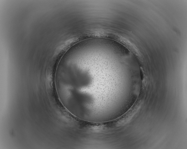 X0000113200306200909171519