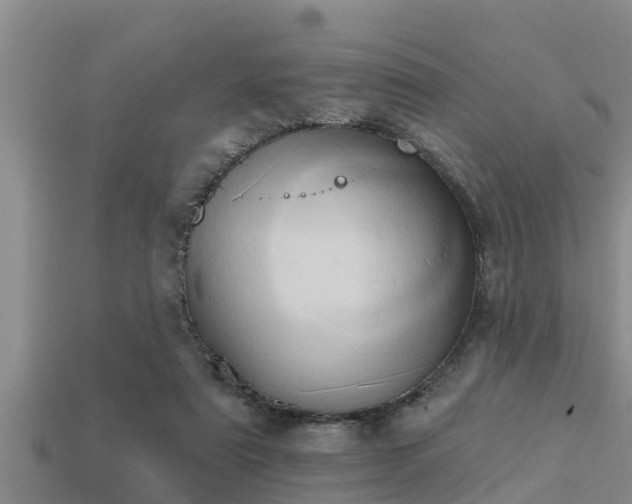 X0000113200307200909171519