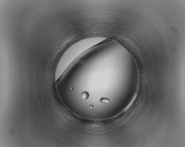 X0000113200308200909171519