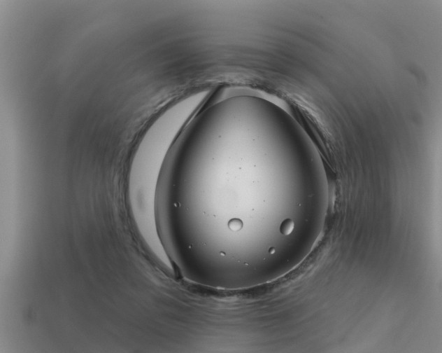 X0000113200309200909171519