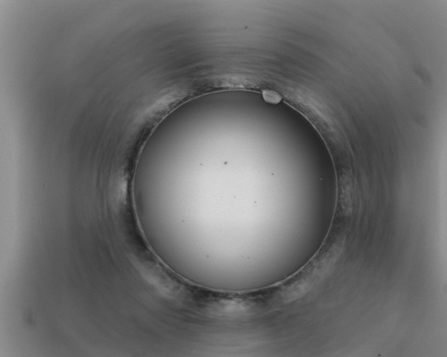 X0000113200310200909171519