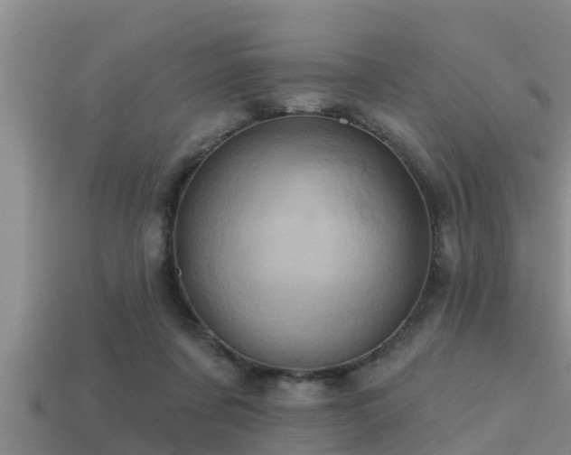 X0000113200311200909171519