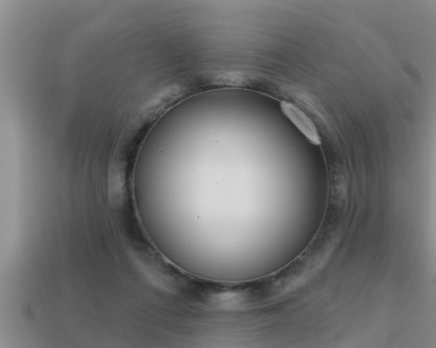 X0000113200312200909171519