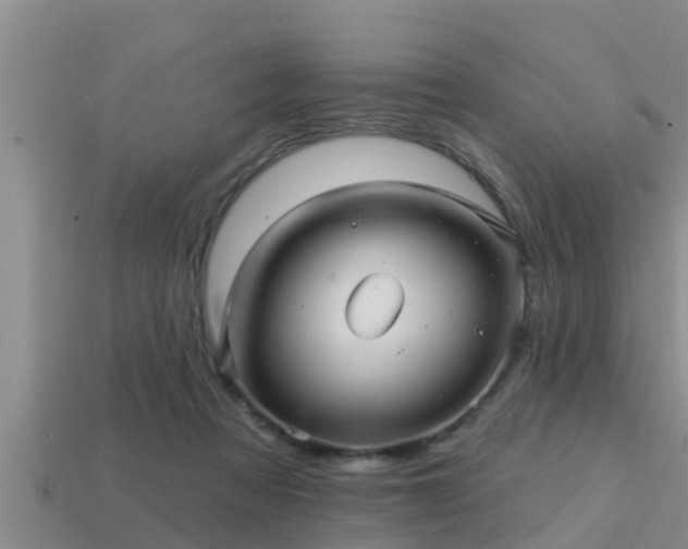 X0000113200313200909171519