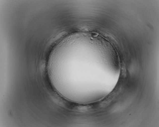 X0000113200314200909171519