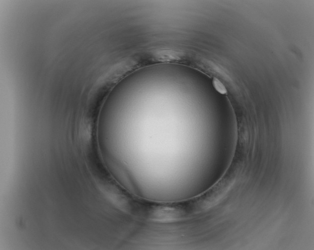 X0000113200315200909171519