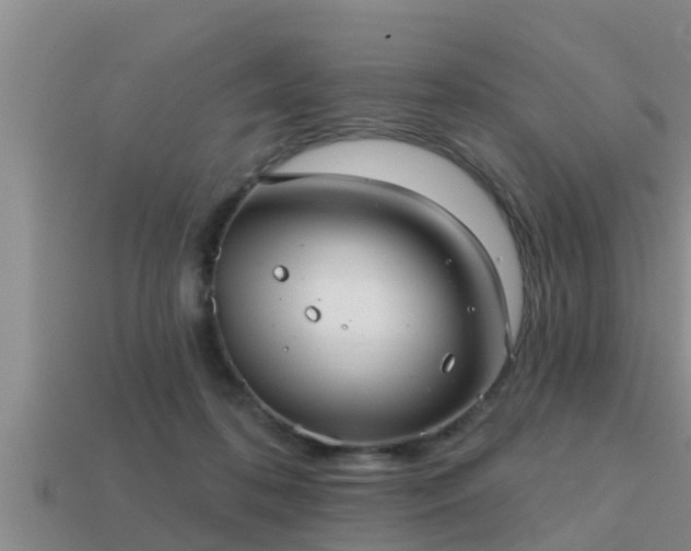 X0000113200316200909171519