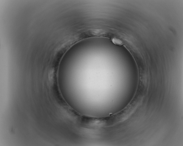 X0000113200319200909171519