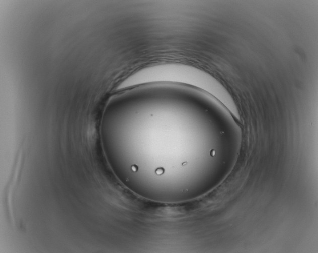 X0000113200320200909171519